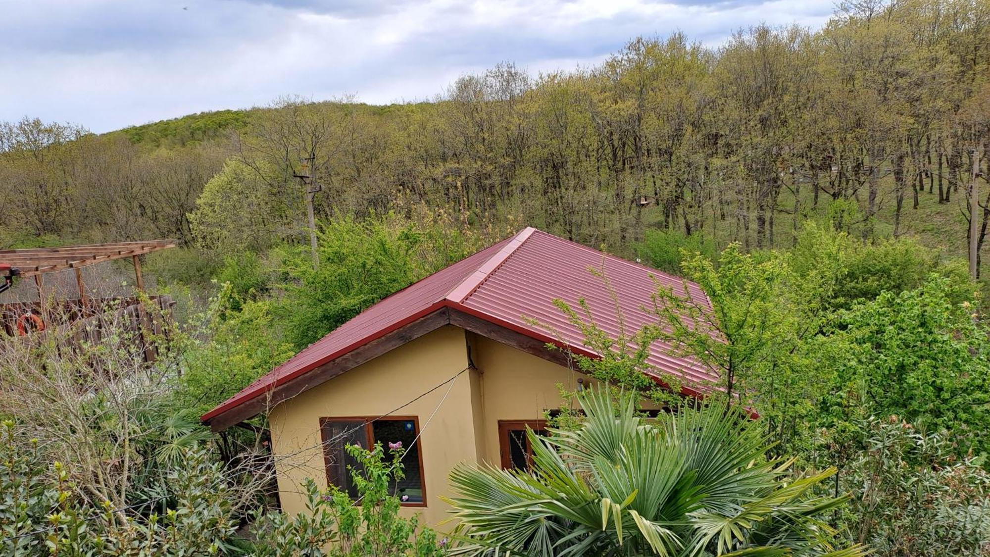 Yellow Villa Sinemoreț Exterior foto